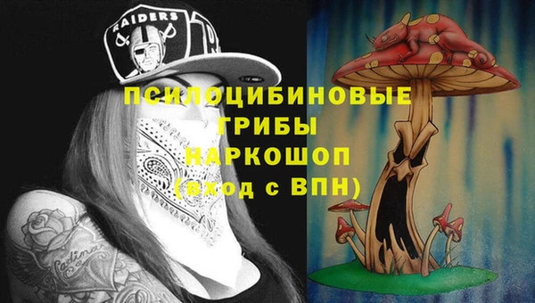 МДПВ Белокуриха